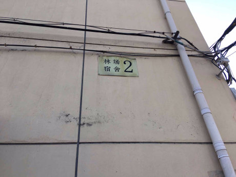 实景图