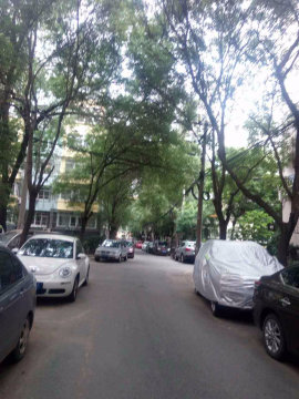 实景图