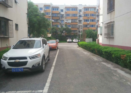 实景图