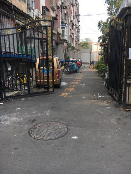 实景图