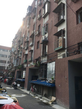 实景图