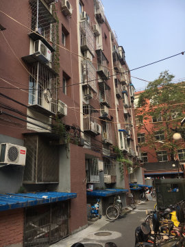 实景图