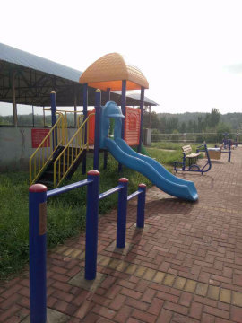 实景图