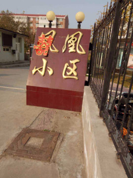 实景图