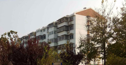 实景图