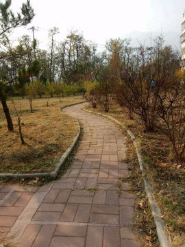实景图