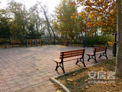 实景图