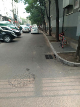 实景图