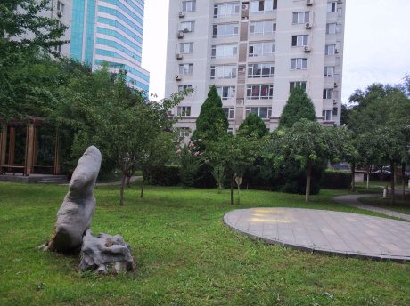 实景图