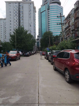实景图