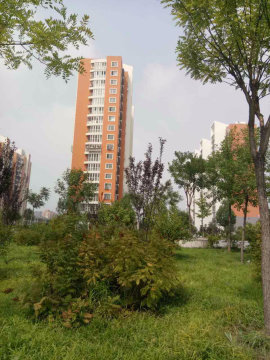 实景图