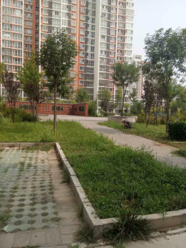 实景图