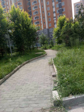 实景图
