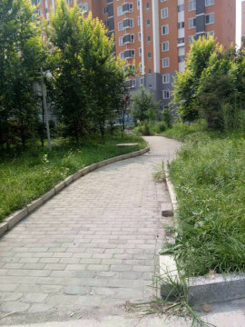 实景图