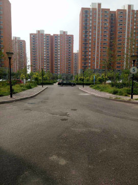 实景图