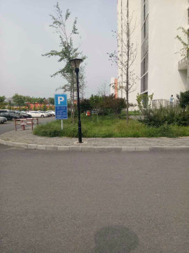 实景图