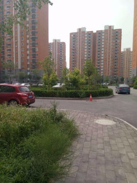 实景图