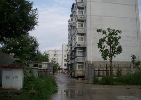实景图