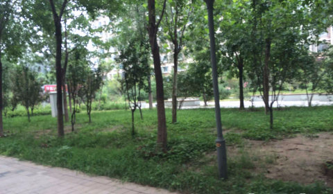 实景图
