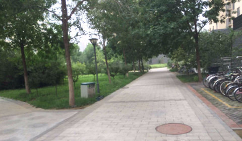 实景图