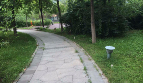 实景图