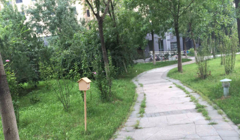 实景图