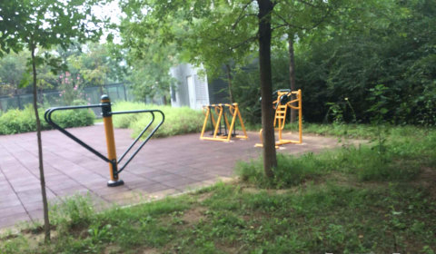 实景图