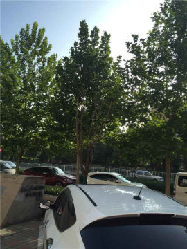 清城国际中心