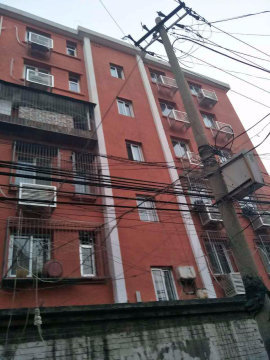 实景图