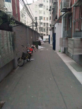 实景图