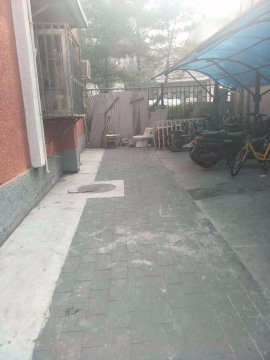 实景图
