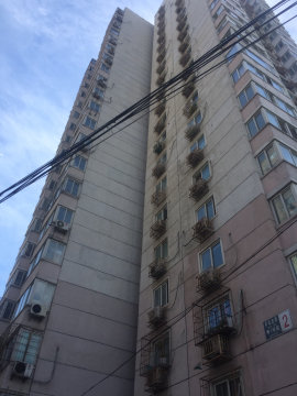 实景图