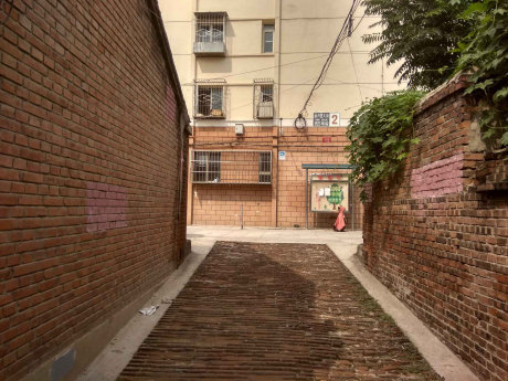 实景图