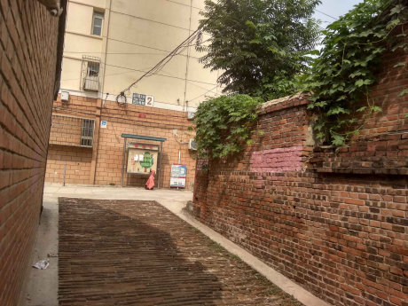 实景图