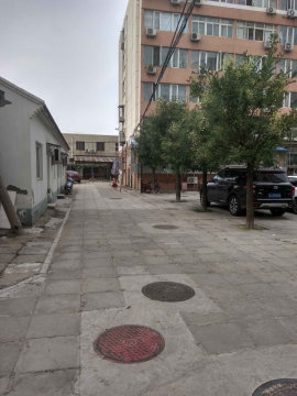 实景图