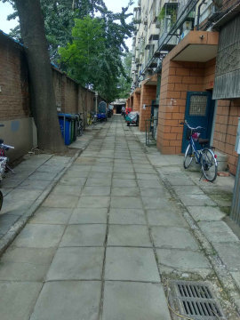 实景图