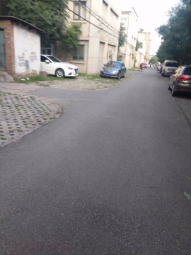 实景图