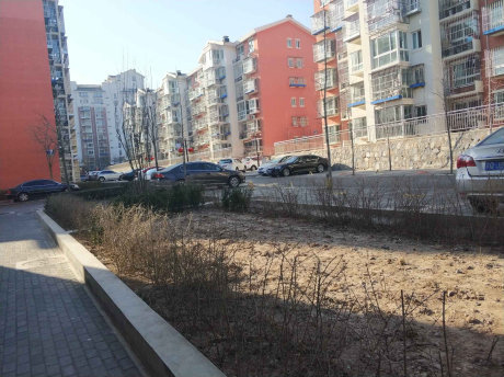 实景图