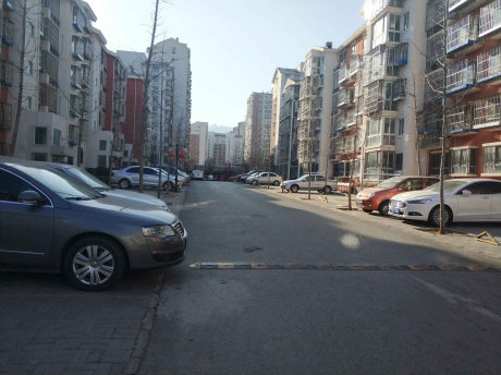 实景图