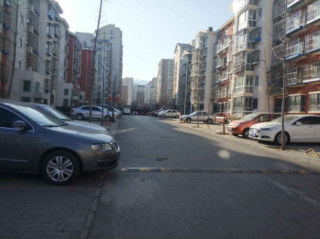 实景图