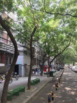 实景图