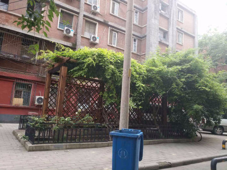 实景图