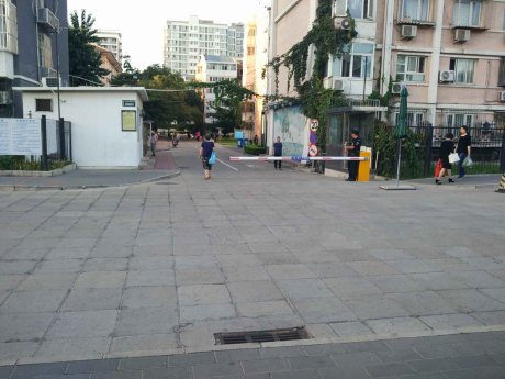 实景图