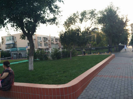 实景图