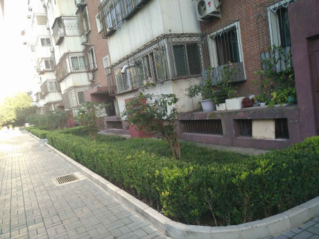 实景图