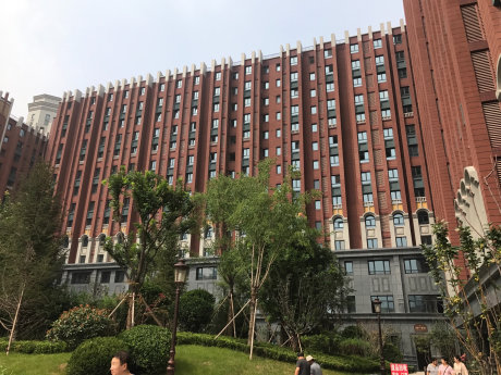 实景图