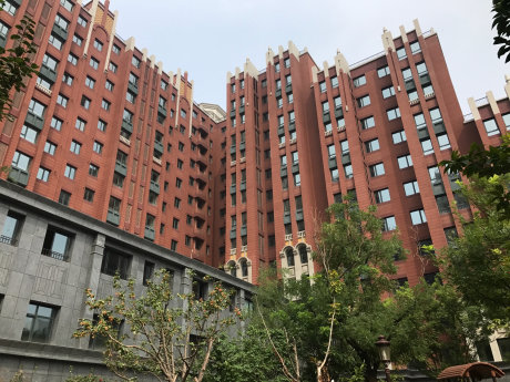 实景图