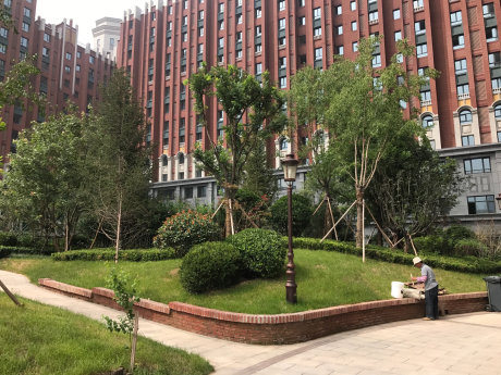 实景图