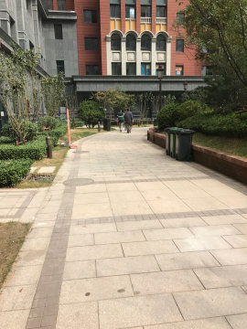 实景图