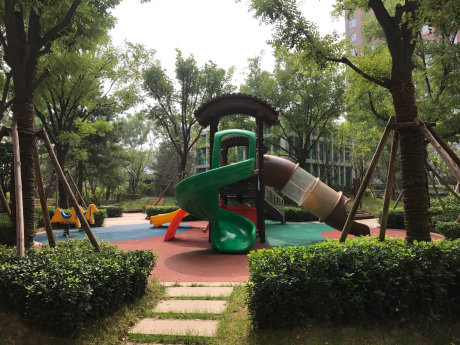 实景图